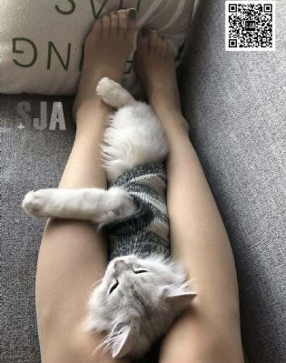 办公室的交易韩国完整版在线观看_高清电影观看