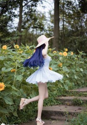 黑莲花攻略手册电视剧免费观看_1080P手机免费观看完整