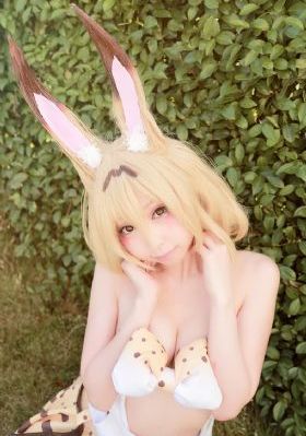 五虎影视_DVD高清完整版
